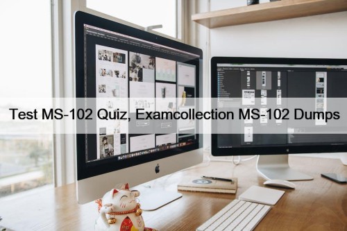 Test MS-102 Quiz, Examcollection MS-102 Dumps